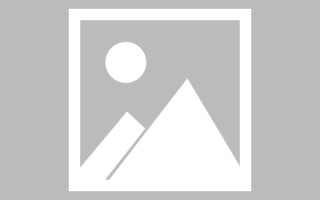 定安网页设计英文默认字体（网页设置英文转换中文）